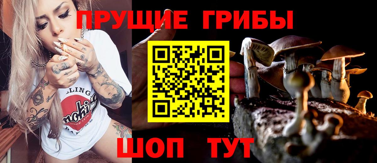 Сыктывкар  Галлюциногенные грибы мухоморы  Галлюциногенные грибы мухоморы  Вход с VPN 